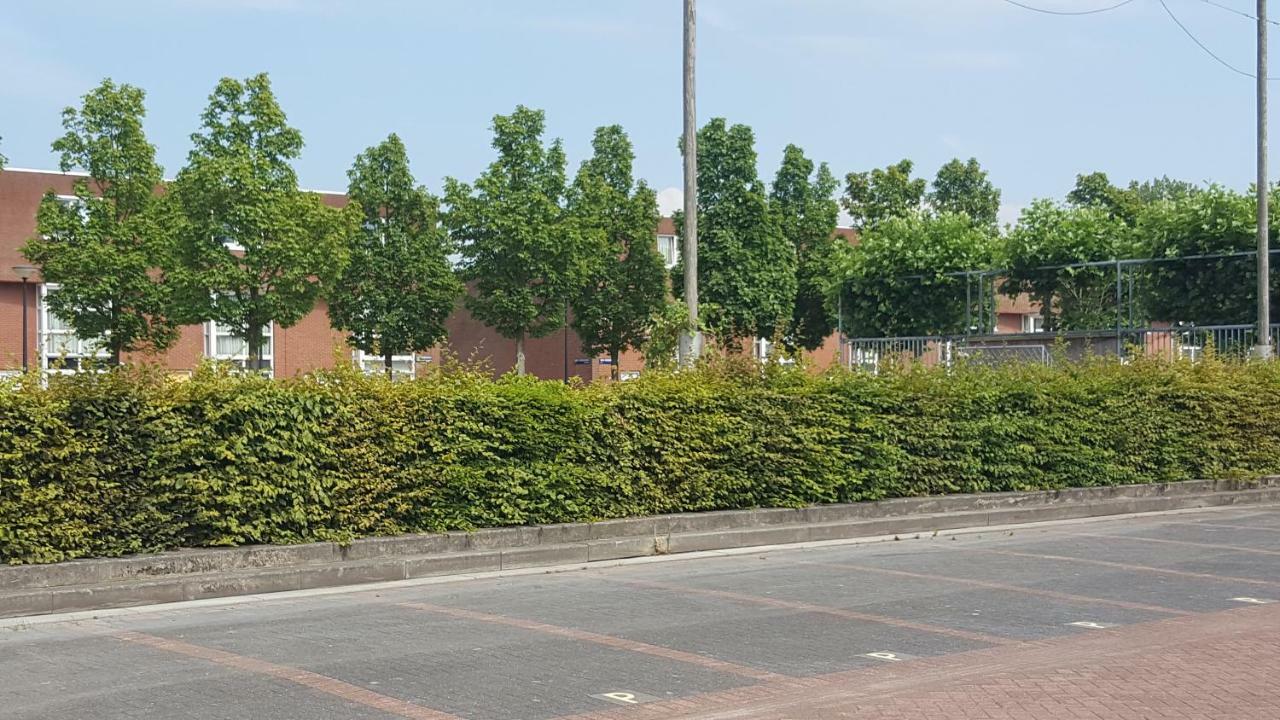 Jamiek'S Bnb Amsterdam Dış mekan fotoğraf